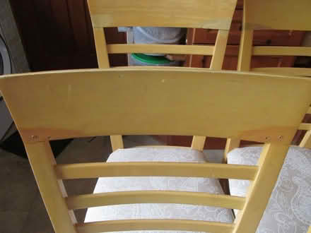 Photo of free 4 dining chairs (Petersfield GU31) #2