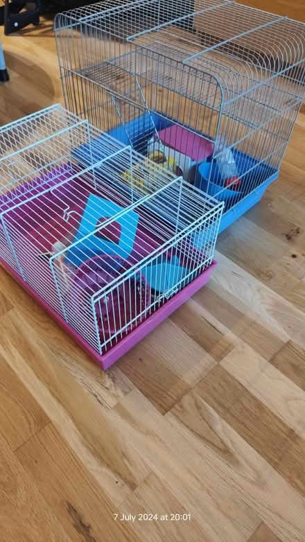 Photo of free Hamster Cages x 2 (Old Harlow) #1