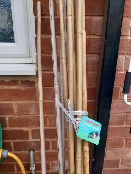 Photo of free Bamboo canes (Lichfield) #1