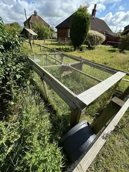 Photo of free Pet/Bird Cage - Catio - 10ft x 6ft x 4ft ish (Dersingham PE31) #3