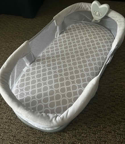 Photo of free Bassist (Glen Burnie) #1