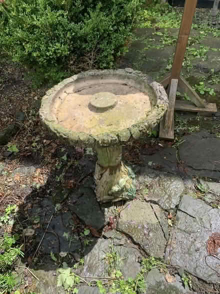 Photo of free Bird bath (Presteigne LD8) #1