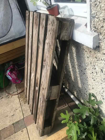 Photo of free Wooden pallet (Glasnevin, Dublin 11) #1