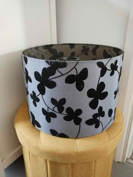 Photo of free Lampshade (Leytonstone E11) #2