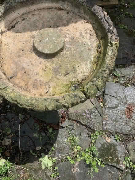 Photo of free Bird bath (Presteigne LD8) #2
