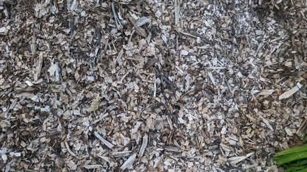 Photo of free wood chips /mulch (Maplewood) #2