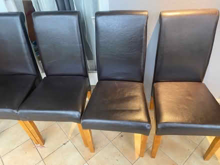 Photo of free 8 leather dining chairs (Wahroonga) #1