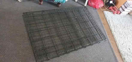 Photo of free Dog crate (TW10 Ham) #4