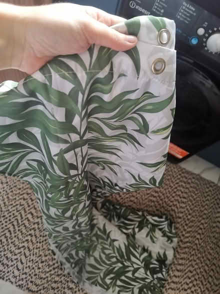 Photo of free Shower curtain green and white (Whalley range M16 7) #2