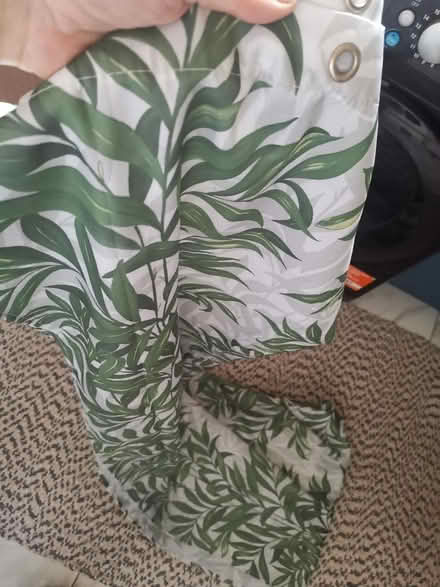 Photo of free Shower curtain green and white (Whalley range M16 7) #1