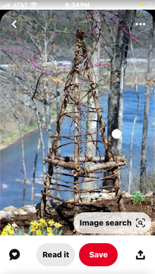 Photo of free Fresh grapevines for projects (Nashway Dr & W Maple Rd) #3