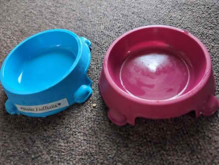Photo of free Cat food bowls (Becketts Park LS6) #1