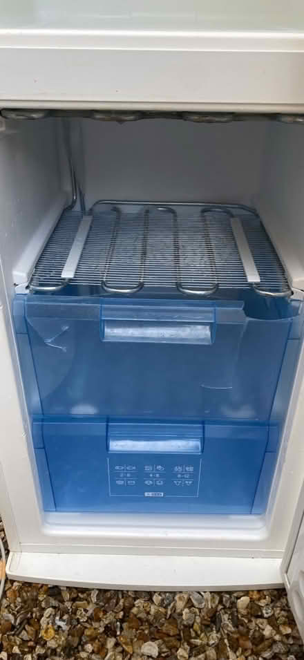 Photo of free Bosch Fridge Freezer (PO19, Chichester) #4