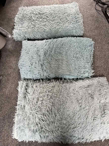 Photo of free 3 duck egg throws (Luton Airport LU2) #3