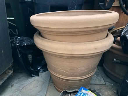 Photo of free 2 large plastic pots (Capitol Hill) #1
