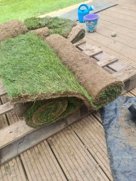 Photo of free 2 rolls of turf (Catford)