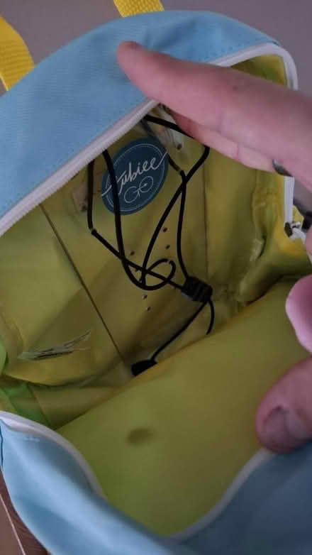 Photo of free Child's feeding pump bag (Plumstead SE18) #3