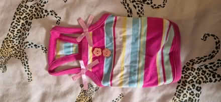 Photo of free Tiny doggy outfit (SE6) #1