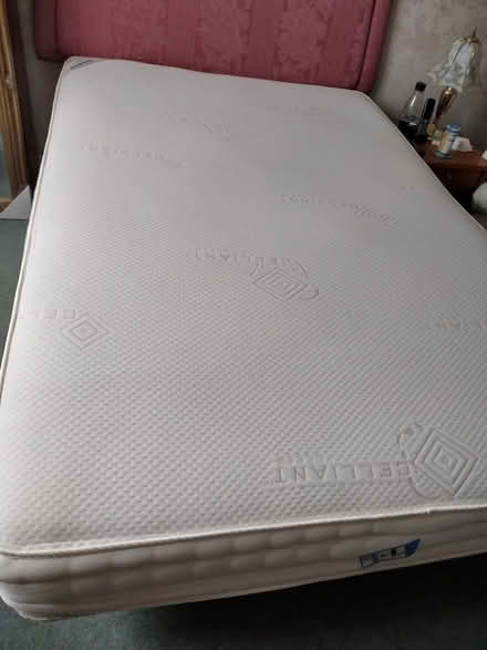 Photo of free Remote control adjustable bed (Watersplash Farm TW17) #4