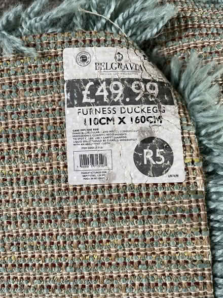 Photo of free Duck egg rug (Luton Airport LU2) #1