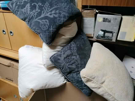 Photo of free Feather cushions (Harrogate HG2) #1