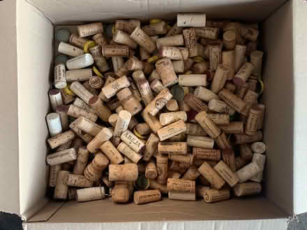 Photo of free corks (queen anne) #1