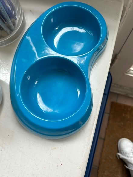 Photo of free Cat bowl (Chiswick W4) #1
