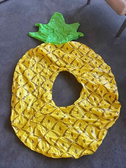 Photo of free Large Pineapple Pool Float (Boulder County-75th/Valmont) #1