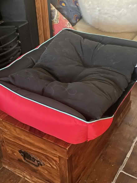 Photo of free Large dog bed (Bear Flat) #2