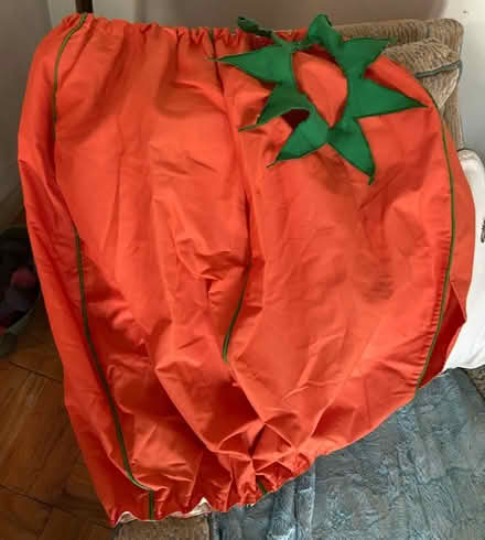 Photo of free Child Pumpkin Costume (North Hollywood CA) #1