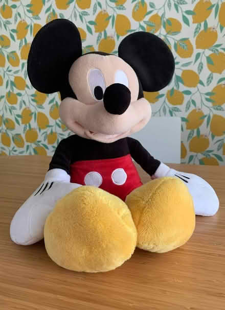 Photo of free Mickey Mouse soft toy (Florence Park OX4) #1