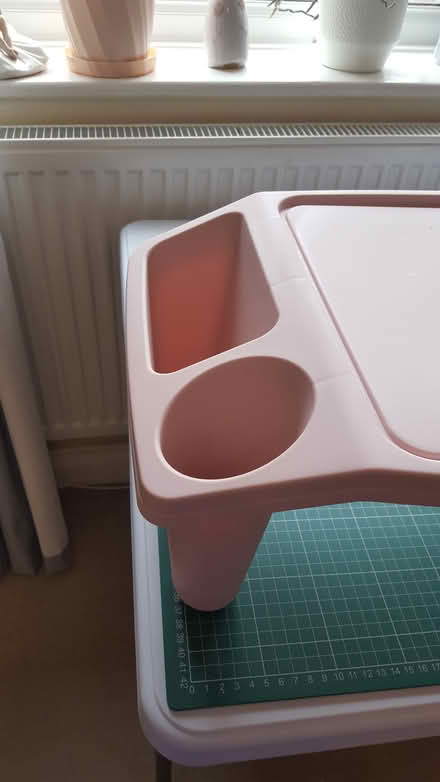 Photo of free Tray (Marlow SL7) #3