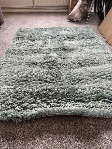 Photo of free Duck egg rug (Luton Airport LU2) #2