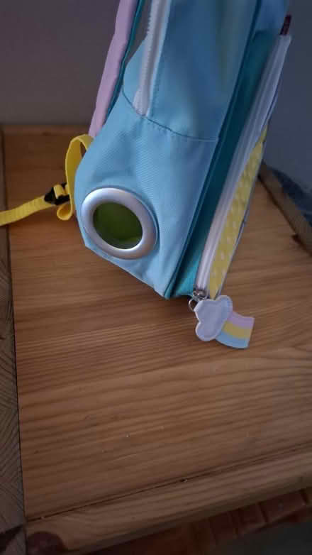 Photo of free Child's feeding pump bag (Plumstead SE18) #2