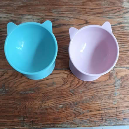 Photo of free Cat feeding bowls x 2 - cute (Kidlington OX5) #1