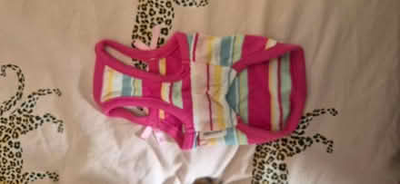 Photo of free Tiny doggy outfit (SE6) #2