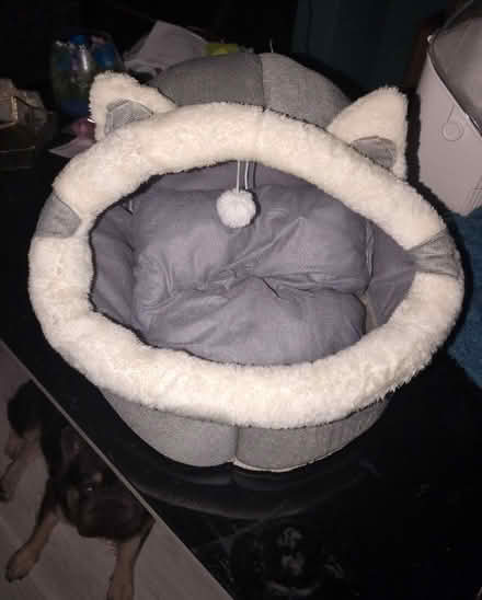 Photo of free Cat bed (Bromley North BR1) #1