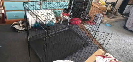 Photo of free Dog crate (TW10 Ham) #2
