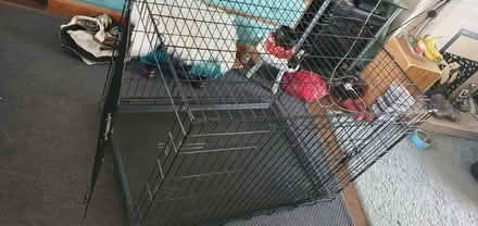 Photo of free Dog crate (TW10 Ham) #1