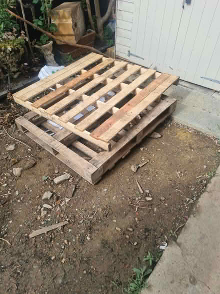 Photo of free Pallets x4 (Catford)