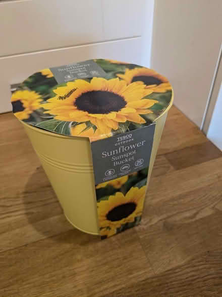 Photo of free Sunflower growing kit (Camberley GU15) #1