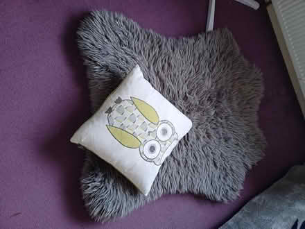 Photo of free Pet mat/bed (Bushey North WD23) #2