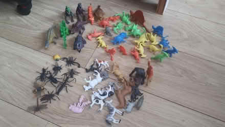 Photo of free Plastic animals (Slough Britwell area SL2) #1