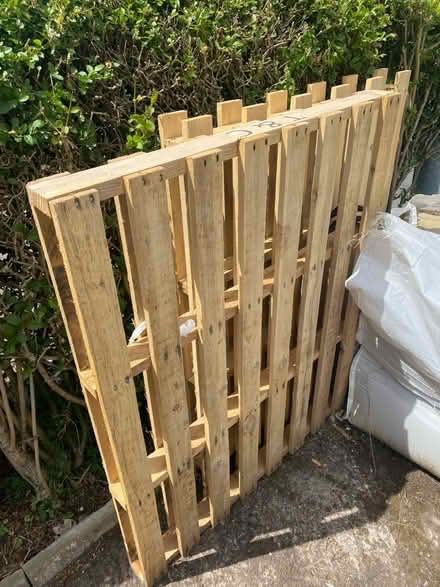 Photo of free 2 x pallet (WV3) #1