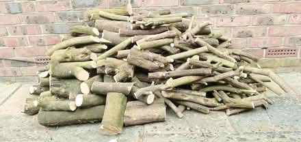 Photo of free logs (Aldwick) #1