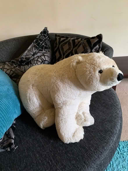 Photo of free Big polar beer teddy (Withington Hereford) #1