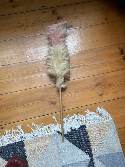 Photo of free Duster (Norwich) #1