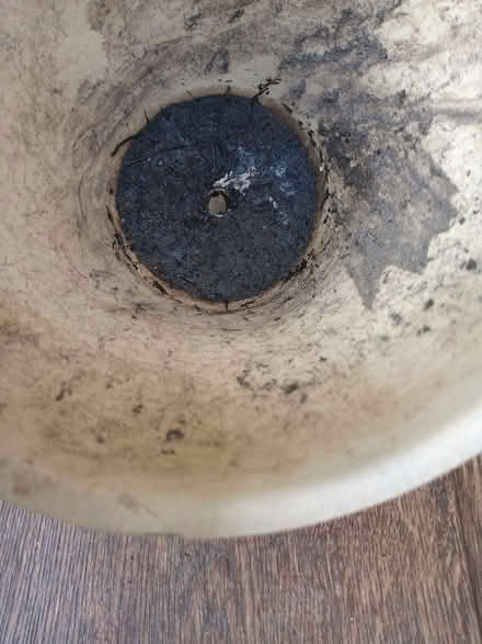 Photo of free Clay plant pot (Stroud GL5) #2