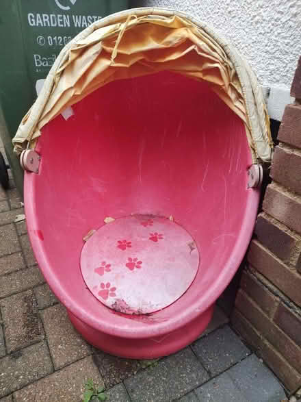 Photo of free Kids Egg Chair (CM11) #1