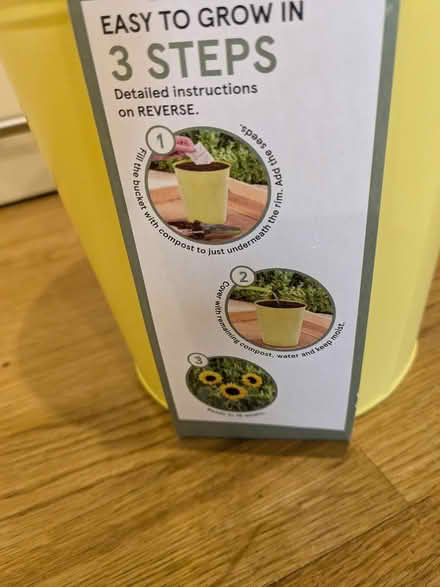 Photo of free Sunflower growing kit (Camberley GU15) #3